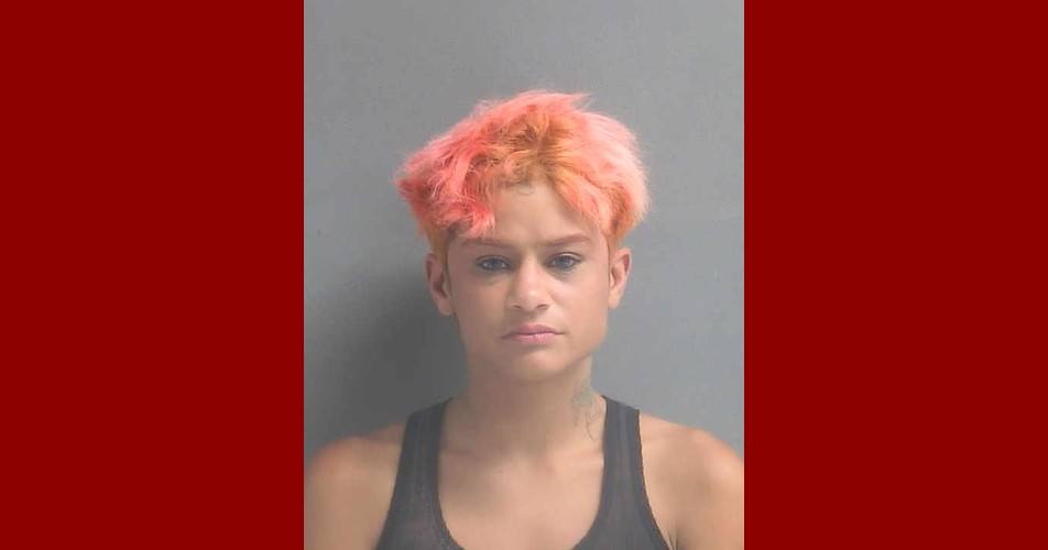 DAISY DIAZ of DAYTONA BEACH