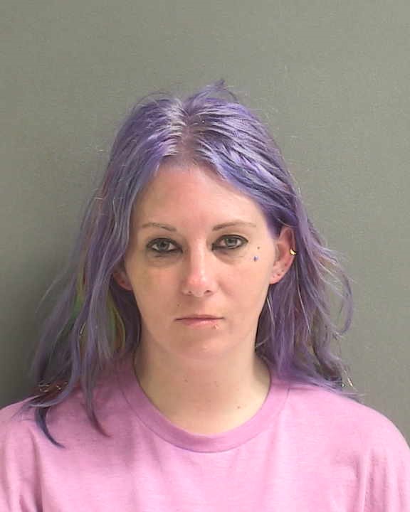 TAYLOR LANE of DELTONA Daytona Mugshots
